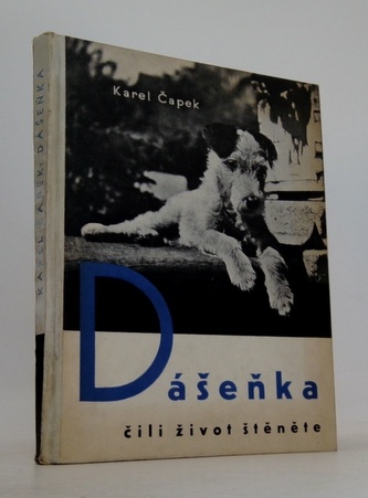 Dášeňka čili život štěněte