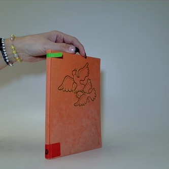 Jak se Franta oženil