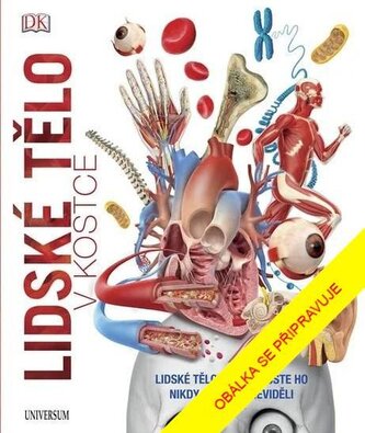 Lidské tělo v kostce