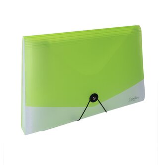 Organizér na dokumenty s gumou A4 Opaline čirá-zelená 13kapes