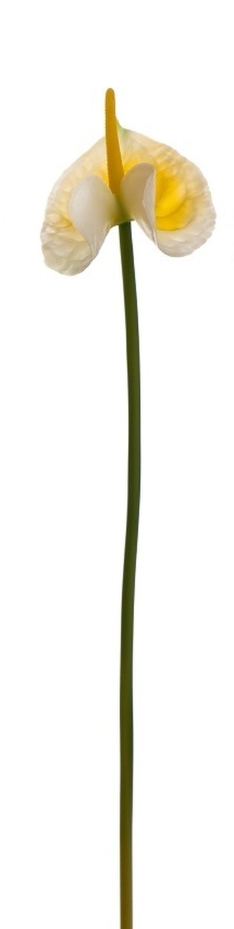 Umělá květina Anturie 62 cm, bílá