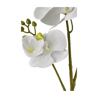 Umělá orchidej 70 cm bílá