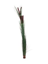 Zblochan vodní, tmavě zelený s pupeny, 152 cm