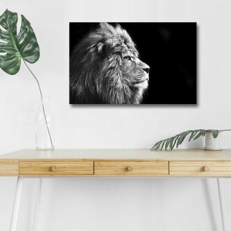 Obraz s LED osvětlením ČERNOBÍLÝ LEV 58 45 x 70 cm