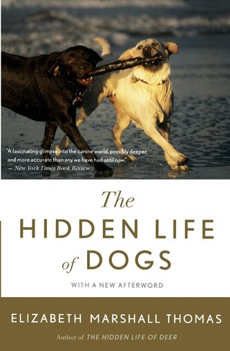 Hidden Life of Dogs, The