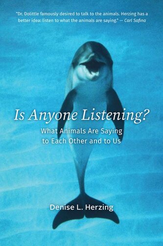 Is Anyone Listening? Is Anyone Listening?
