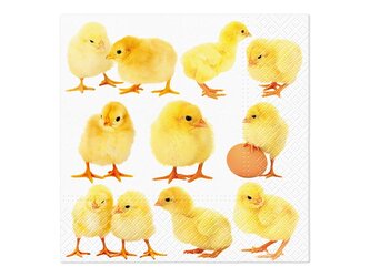 ubrousek P 33x33 velikonoce TL703300 2011124 ubrousek P 33x33 velikonoce TL703300 2011124