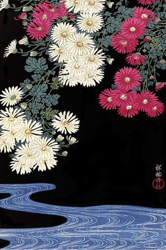 Plakát, Obraz - Ohara Koson - Chrysanthemum and Running Water, 61 × 91.5 cm