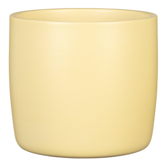 Obal 900 Gentle Yellow 13 /JARO 2025/