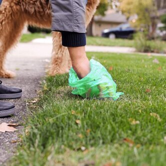 Sáčky na psí exkrementy + zásobník pevné SPRINGOS PA0255 zelené sada 432ks