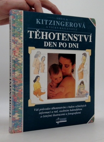 Těhotenství den po dni