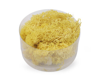 Stabilizovaný / preparovaný mech 20 g v krabičce - 1 ks - 5 žlutá světlá