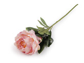 Umělá pivoňka - 1 ks - 2 pudrová