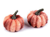 Dekorační dýně - 2 ks - 1 lososová