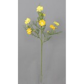 Cosmos - Krásenka  100-0114/YE