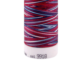 Nitě Poly Sheen Multi Mettler 200 m - 1 ks - 9918 Multicolored