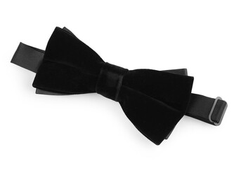 Sametový motýlek v krabičce - 1 ks - 1 černá