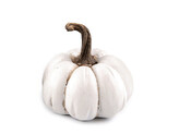 Dekorace dýně - 1 ks - 5 bílá