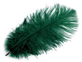Pštrosí peří délka cca 20-25 cm - 10 ks - 44 zelená tmavá