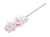 Umělá orchidej dlouhá - 1 ks - 6 bílá fialová