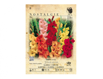 Gladiola velkokvětá, směs 25ks