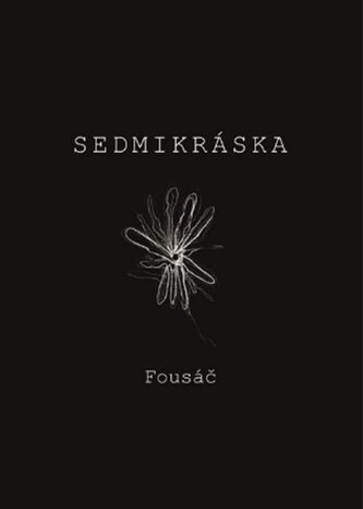 Sedmikráska