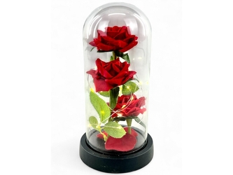 Věčná růže ve skle se světlem LED