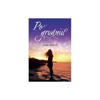 Po grudniu. Miesiące u twojego boku. Tom 2