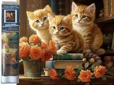 Diamantové malování - 3 kočky 30 x 40 cm