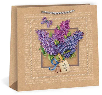 Torebka prezentowa Square 526328, Argus