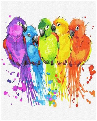 Numermoalowanie Classic 40x50 Kolorowe Papużki PC4050606, iPicasso