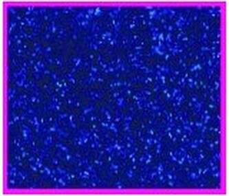 Pianka artystyczna Mikroguma brokatowa 20x30cm op. 5 ark. c. niebieska, Galeria Hobby