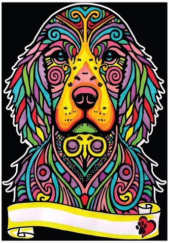 Kolorowanka welwetowa Seter 29,7x21, Colorvelvet