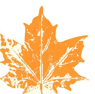 Serwetki wycięte 1-warstw. 33x33cm Liść klonu żółty op. 12 szt. 221007, Paper+Design