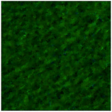 Filc samoprzylepny 20 x 30 cm zielony, D-A-S