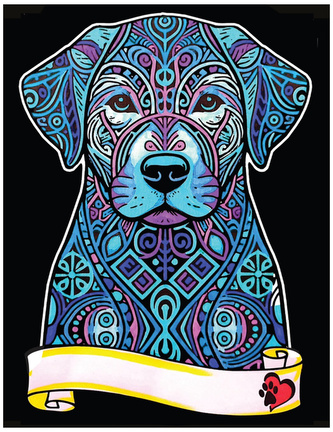 Kolorowanka welwetowa A4 Labrador, Colorvelvet