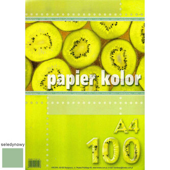 Papier kolor A4 80g/m2 turkusowy op. 100 ark., Kreska