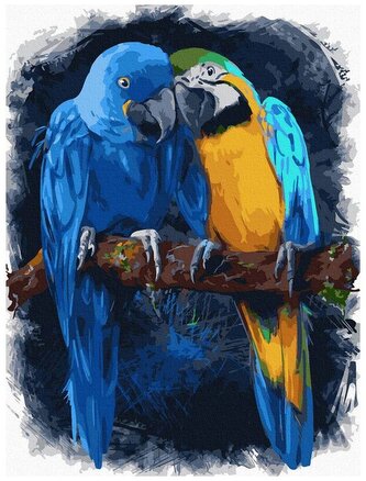 Numermoalowanie Classic 30x40 Papugi, iPicasso