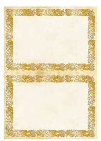 Dyplom A4/A5 Celtic 170g op. 25 ark., Galeria Papieru