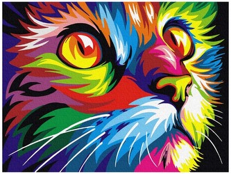 Numermoalowanie Classic 30x40 Kocie spojrzenie, iPicasso