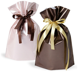 Torebka podarunkowa ze wstążką 20x30x9cm, Argus