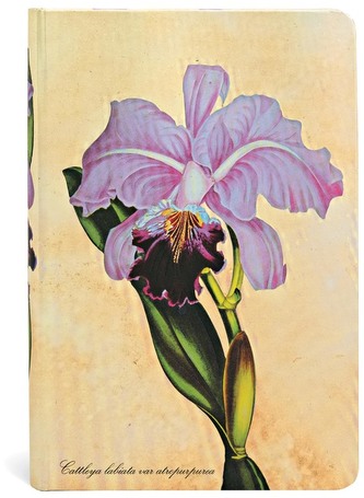 Notes Painted Botanicals Brazilian Orchid Mini gładki, Paperblanks