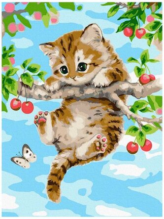 Numermoalowanie Classic 30x40 Kotek, iPicasso