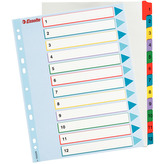 Przekładki A4 1-12 karton Mylar Maxi z lamin. kartą opisu, Esselte