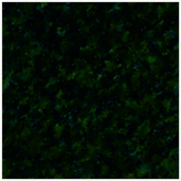 Filc 40 x 30 cm zielony butelkowy, D-A-S