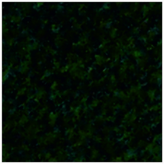 Filc 40 x 30 cm zielony butelkowy, D-A-S