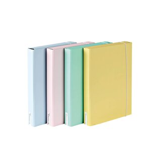 Teczka z gumką Box A4 na dokumenty Emboss, Ancor