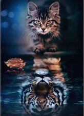 Diamantové malování Kočka na vodní hladině 30 x 40 cm