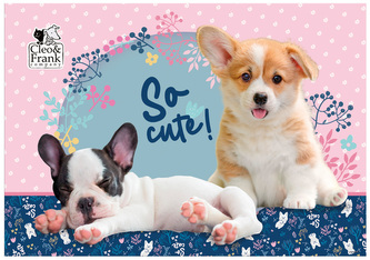 Podkład oklejany Cleo i Frank 34 (pies), Derform