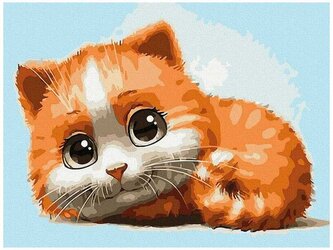 Numeromalowanie Classic 30x40cm PC3040139, iPicasso